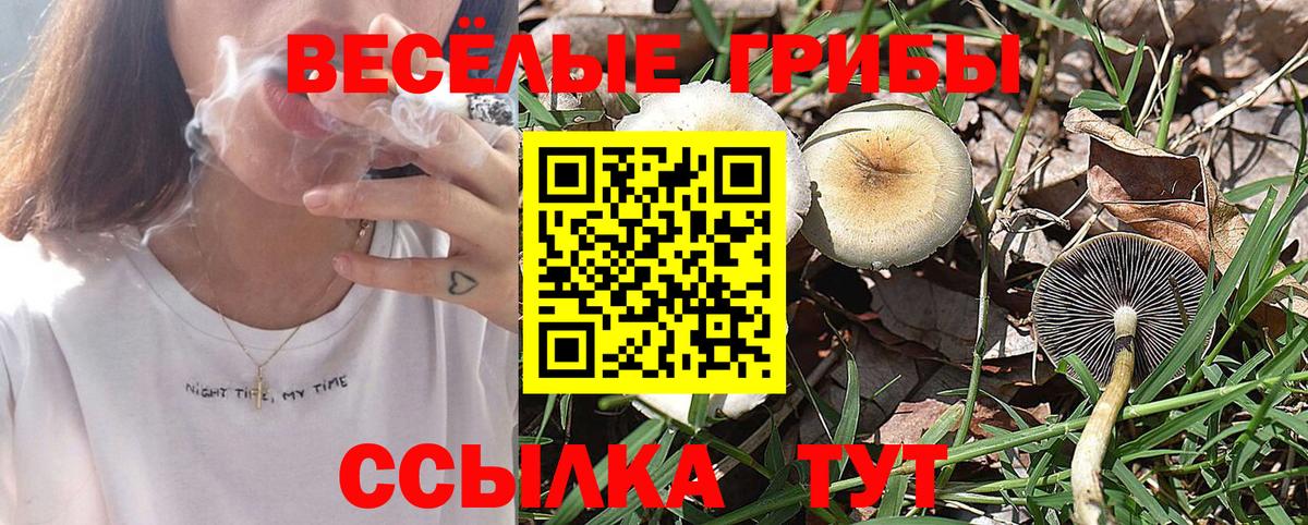 купить закладку  Галлюциногенные грибы ЛСД  Вход с VPN  Новотроицк 